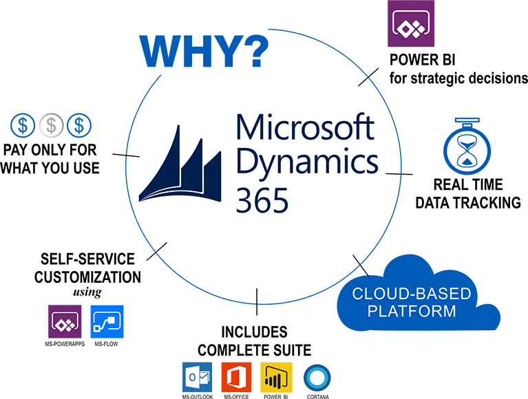 Why Microsoft Dynamic CRM 365